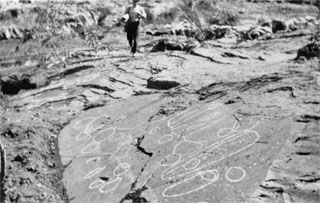 Aboriginal petroglyphs near Burra